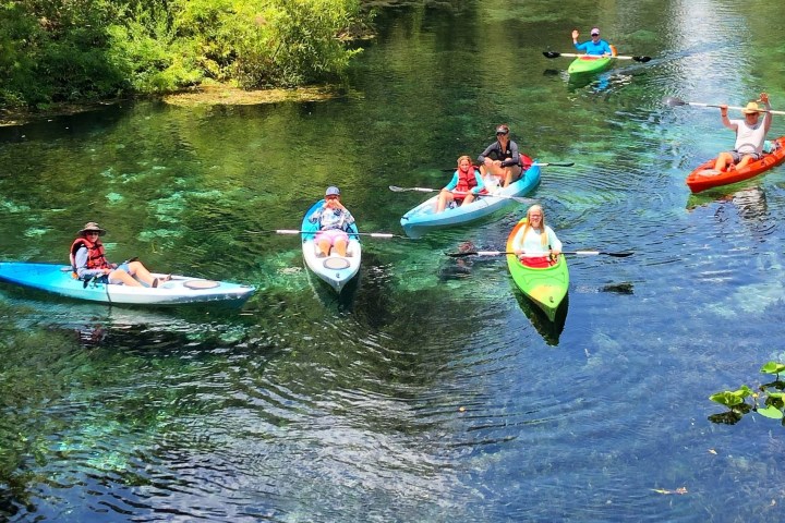 Group of people kayaking on a clear river surrounded by greenery.