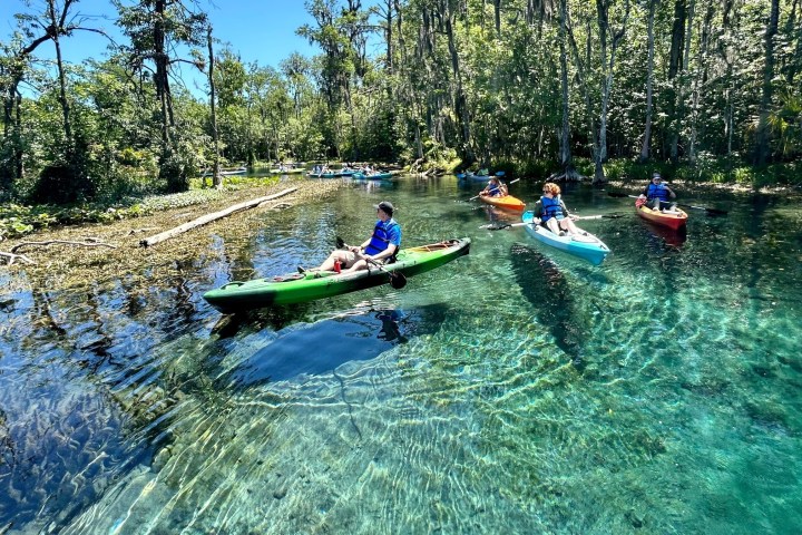 People kayaking on a clear, blue river surrounded by lush green trees.
