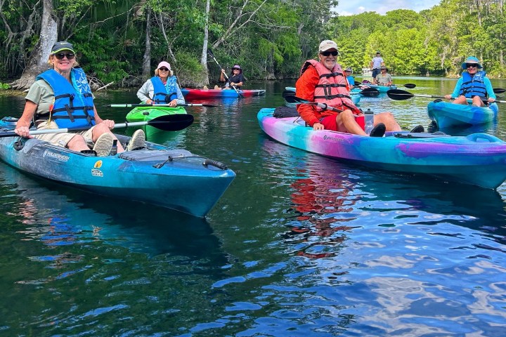 Group kayaking on a calm river with lush green trees.