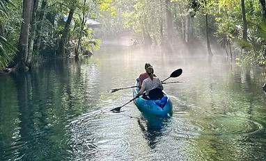 Two people kayaking on a misty forest river.
