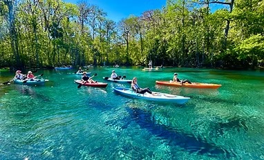 Colorful kayaks on a clear river surrounded by lush green trees.
